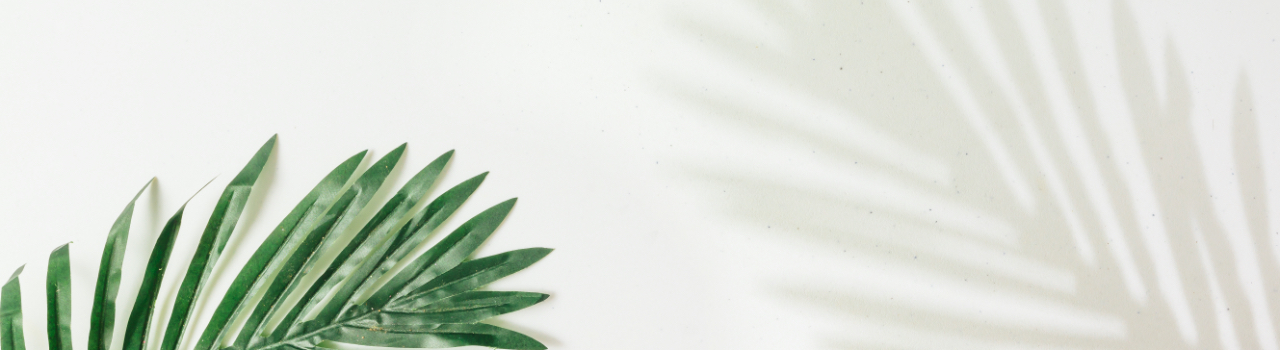 お問い合わせフォームの背景