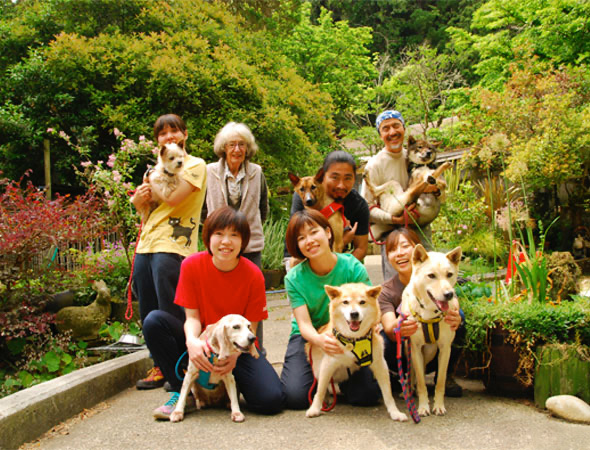 認定特定非営利活動法人「アニマルレフュージ関西」（アーク）の写真